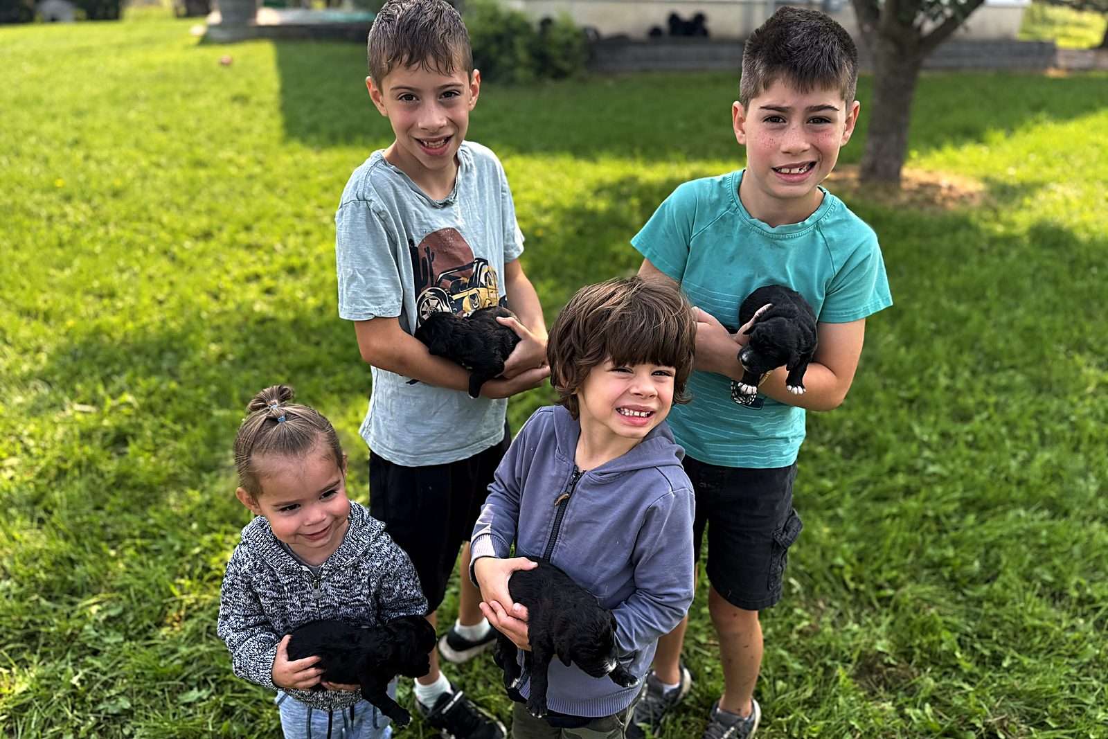 Our kids sitting on the lawn holding puppies from the current litter
